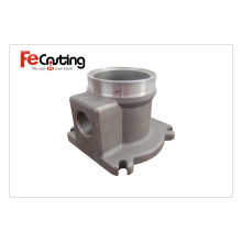 Custom Ductile Iron Casting /Grey Iron Casting Pump Parts